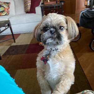 Meet your Posher, Sharold